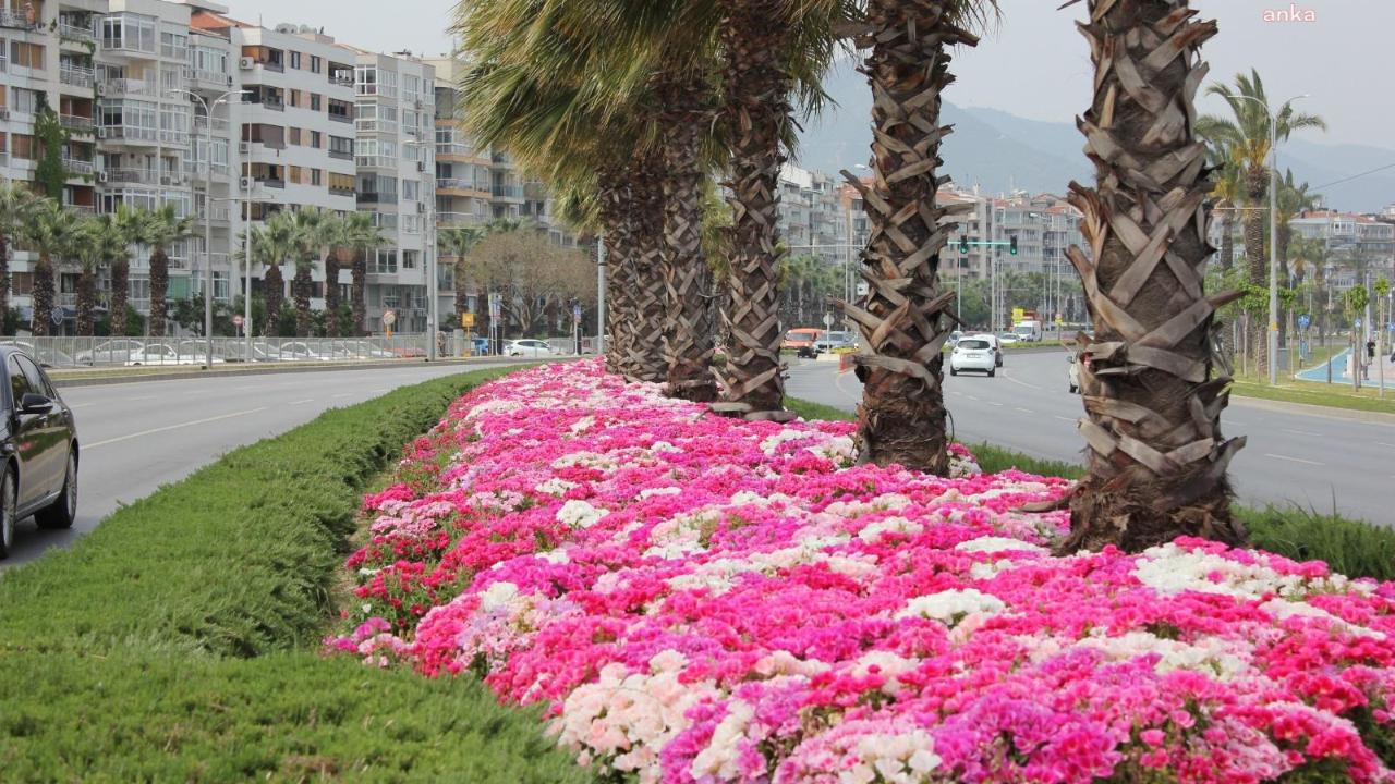 Antalya'da Mayıs ayında ekilebilecek çiçekler!