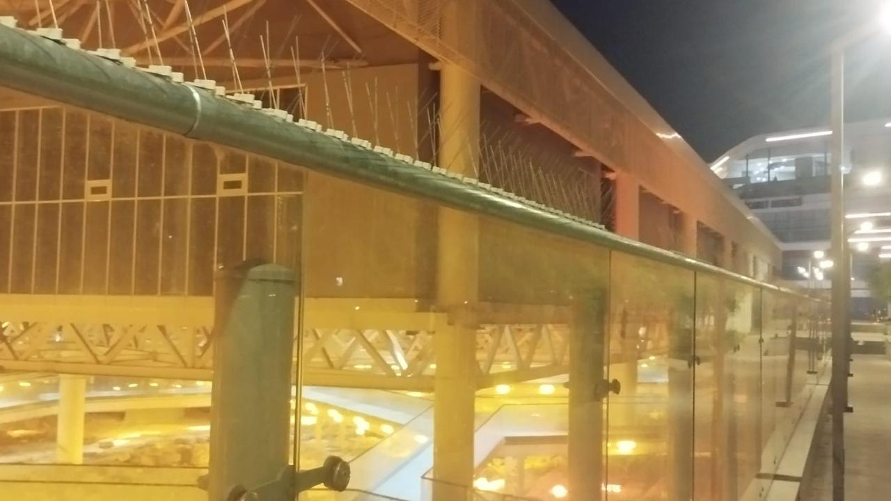 Antalya’da müze binasıyla ilgili çarpıcı iddia!