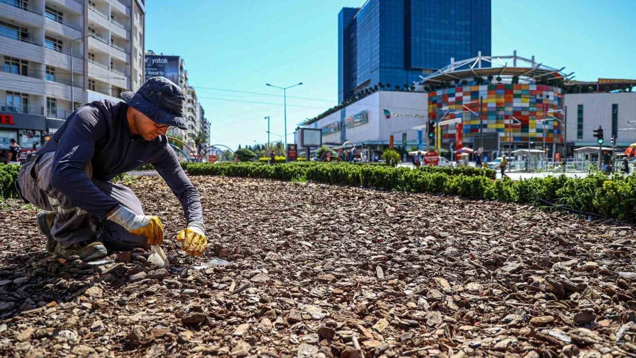 Büyükşehirden kuraklığa karşı sürdürülebilir peyzaj