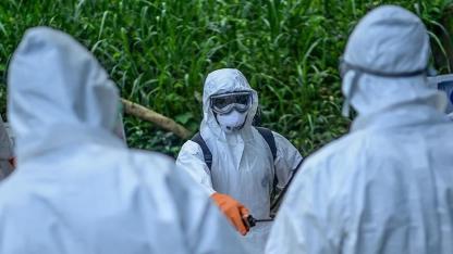 Dünya Sağlık Örgütü, Ebola salgını nedeniyle uluslararası halk sağlığı acil durumu ilan etti!