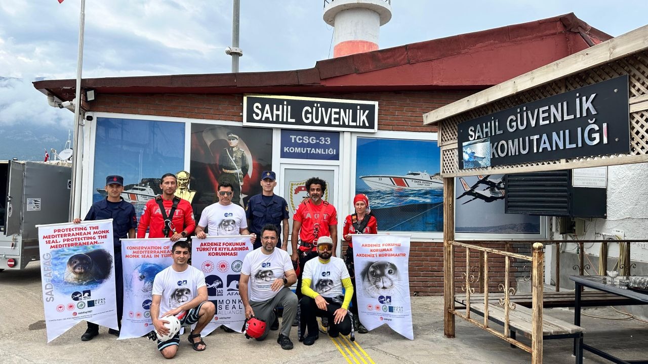Kemer'de Akdeniz foklarının yaşam alanları koruma altına alınıyor