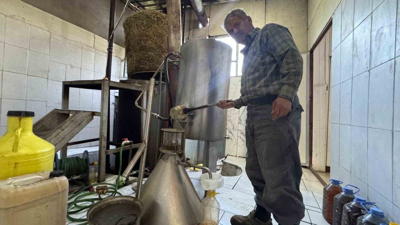 Toroslar’da yetişen 31 farklı bitkinin yağını çıkartıp ülkenin dört bir yanına gönderiyor