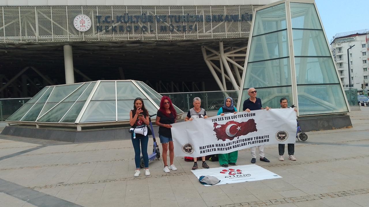 Antalya Nekropol Müzesi önünde 20 gündür “kuş nöbeti” sürüyor