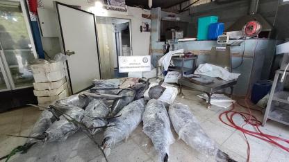Antalya'da avlanması ve satışı yasak su ürünlerine el konuldu!