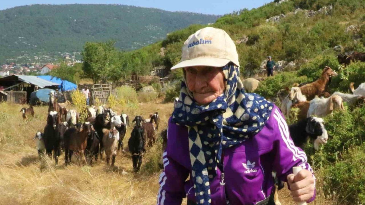 Antalya’nın süper çobanı Emine Nine: 94 yaşında, 90 yıldır keçileriyle dağlarda