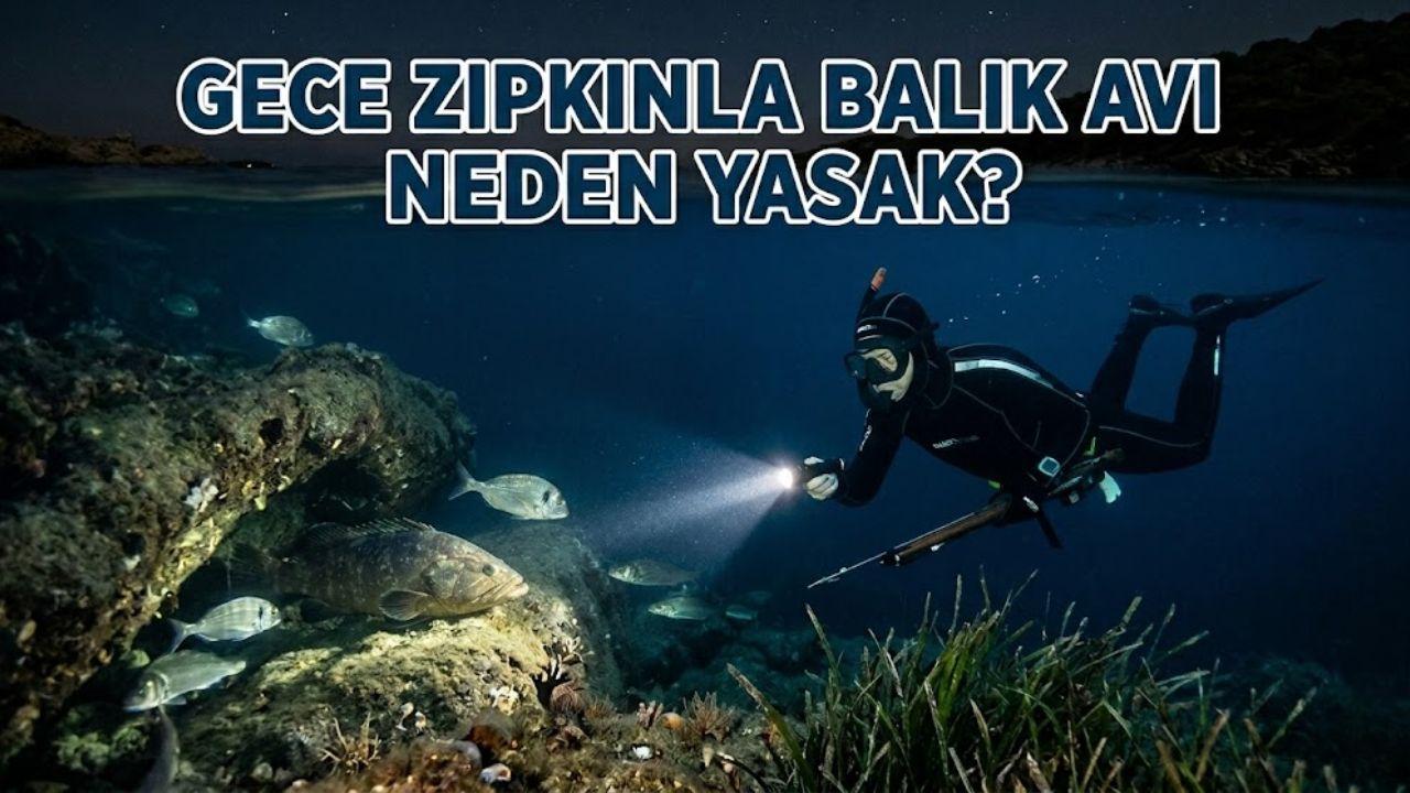 Gece zıpkınla balık avı neden yasak? Güncel 2026 cezası