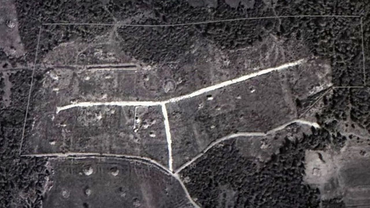 Ormanı bölüşen kamu personeline mahkeme 'dur' dedi
