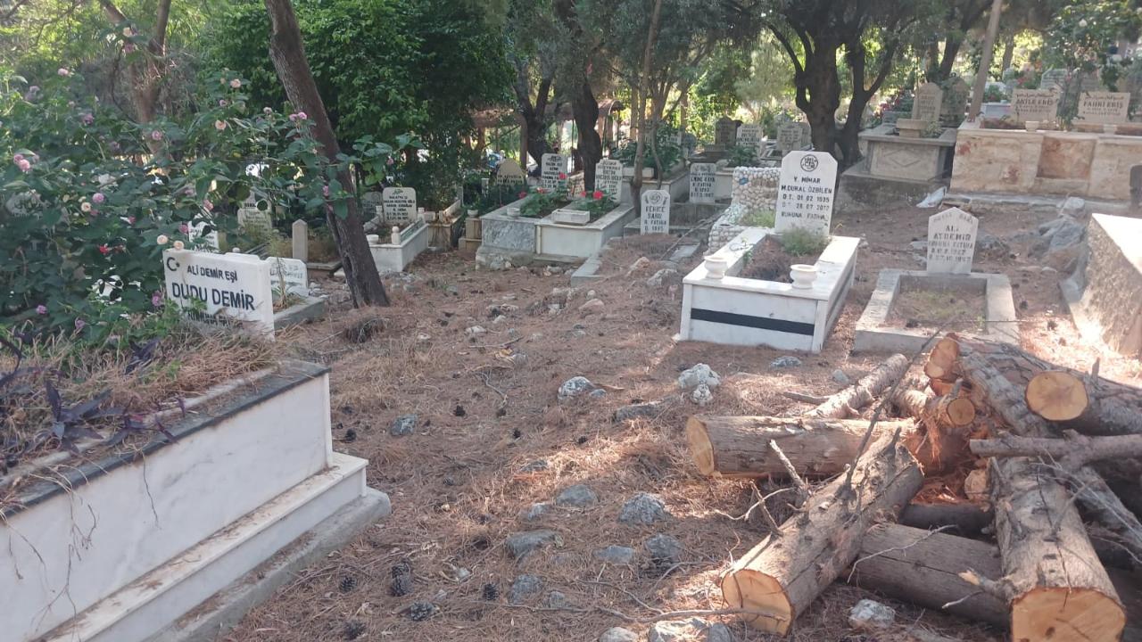 Vatandaşlar gerekli bakımların yapılması adına çağrıda bulundu!