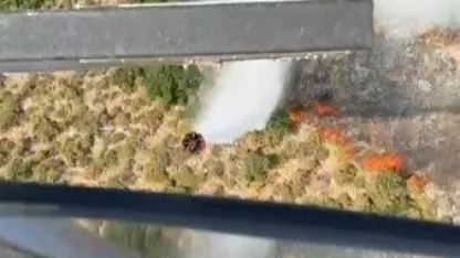 Demre’de orman yangını