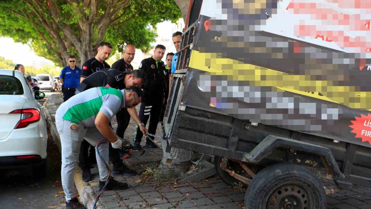 Ağaca zincirlenen römork reklam panosu oldu