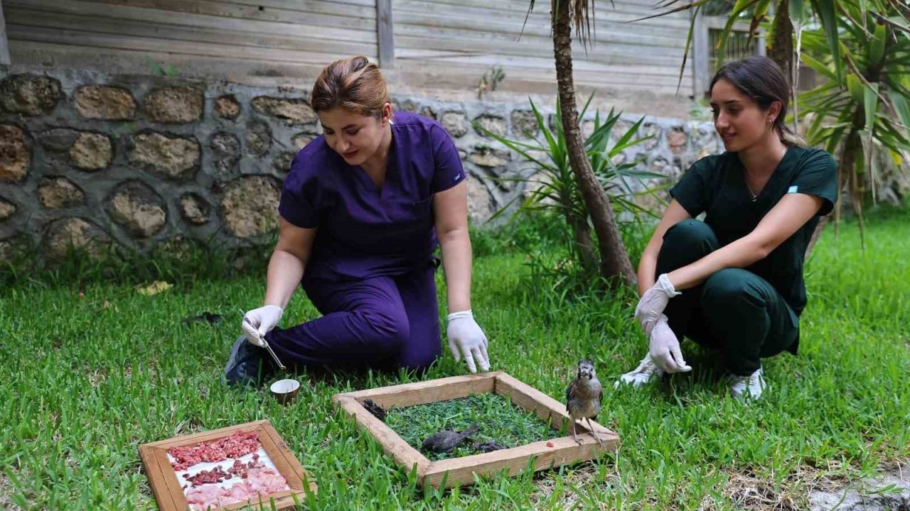 Antalya Doğal Yaşam Parkı’nda tam donanımlı klinik hizmeti