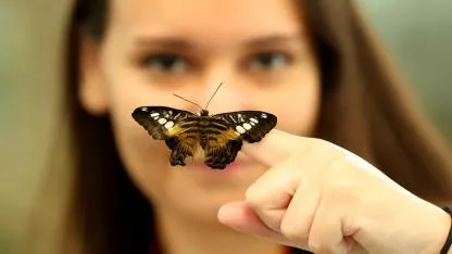 Antalya'da "Butterfly World" ziyaretçilerini tropikal kelebeklerle buluşturuyor