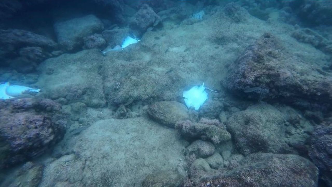 Antalya'da şoke eden görüntü