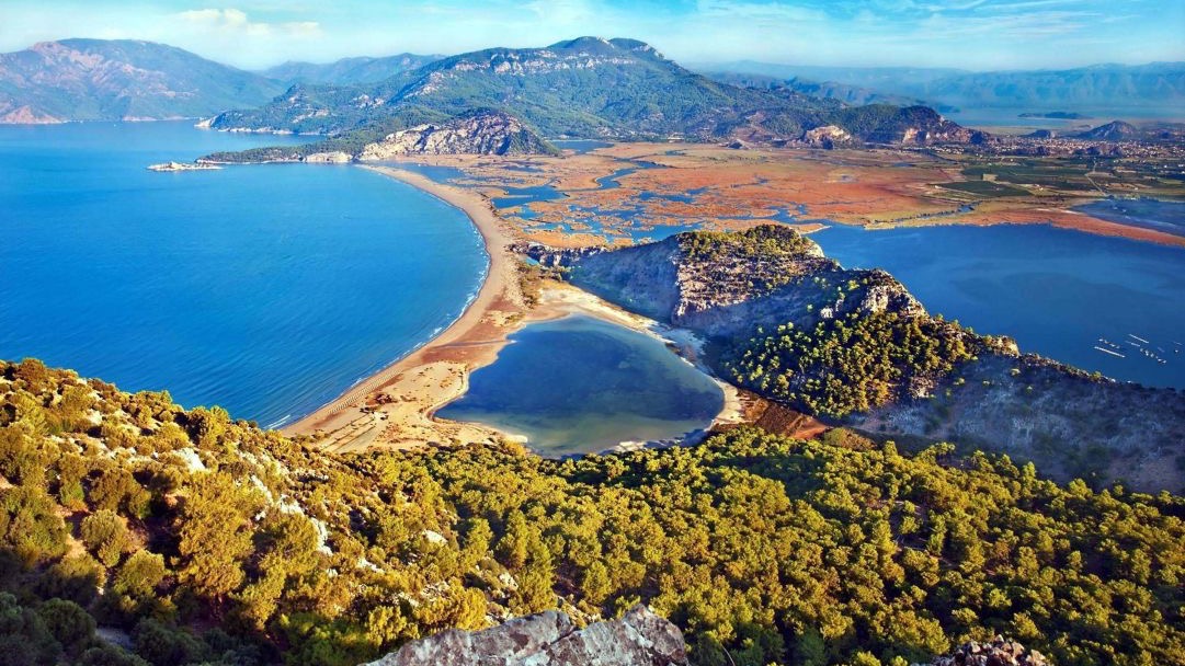 İztuzu Plajı'nda caretta carettaların yuva sayısı 400'e ulaştı