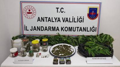 Manavgat'ta uyuşturucu operasyonunda 2 şüpheli tutuklandı!