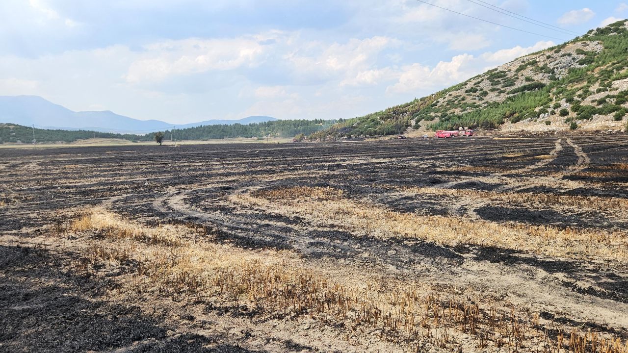 Ormana sıçrayan arazi yangını söndürüldü