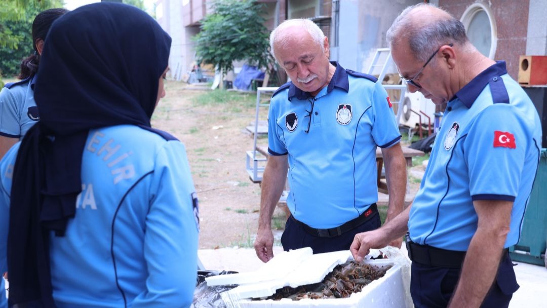 Terminalde ele geçirilen 90 kilogram kerevit imha edildi