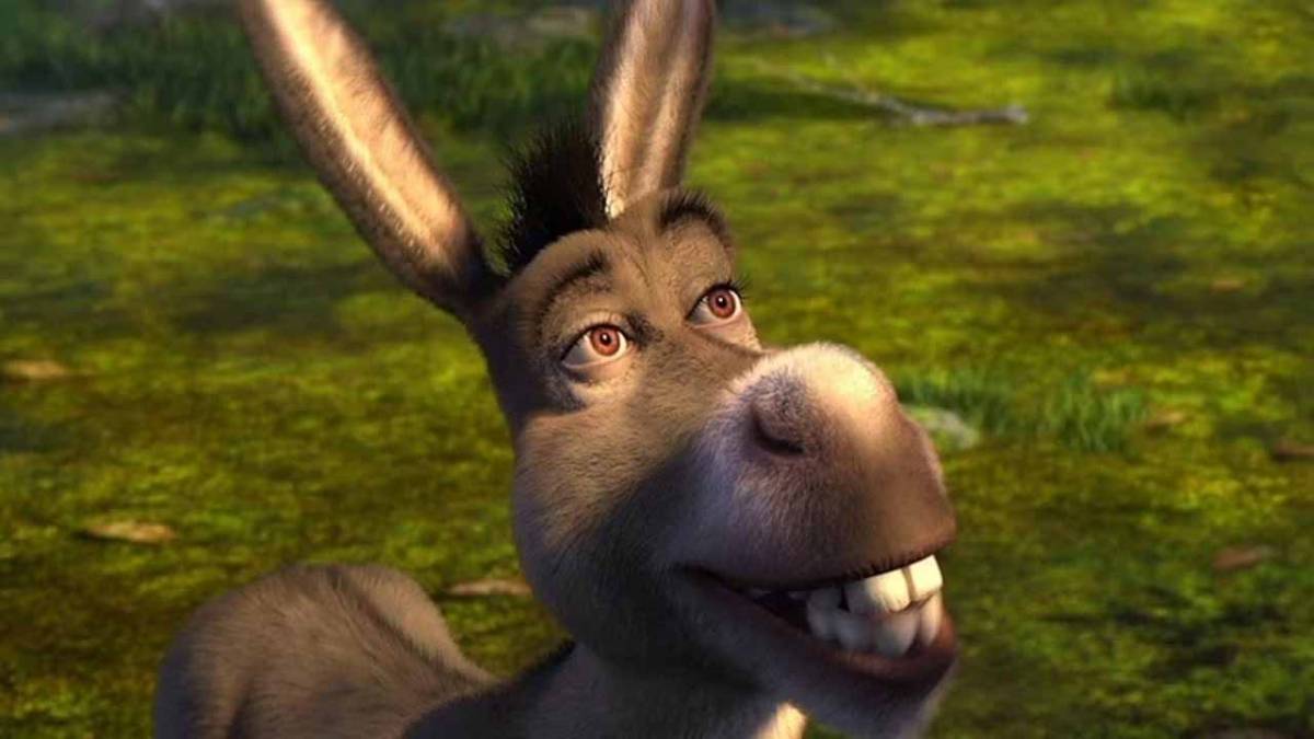 Donkey filmi geliyor!