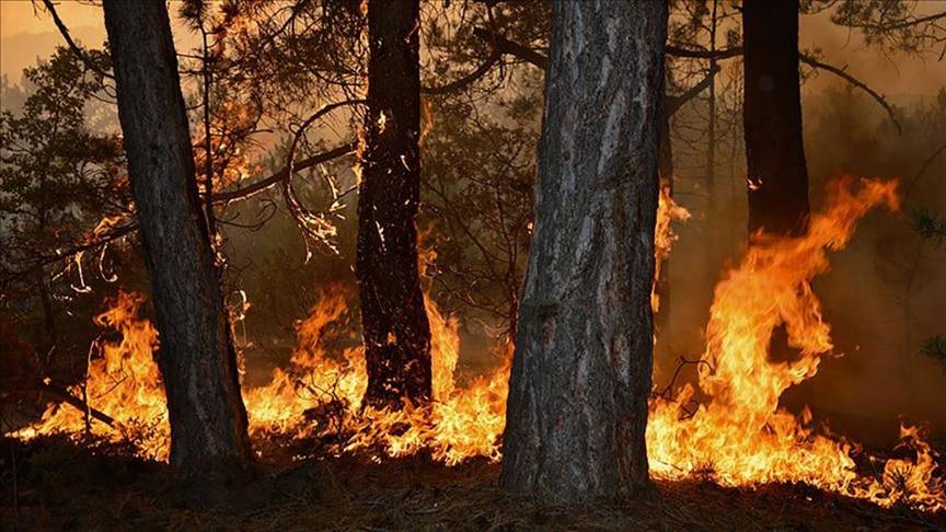 Antalya'da yangın riski taşıyan bölgeler!